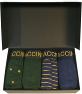 Zaccini 4-pack: Gold Star Stripe Box