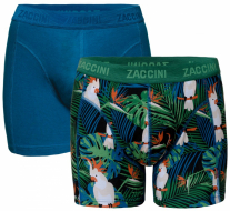 Zaccini 2-pack: Tropical Forest