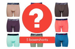 RJ Bodywear Boxer 5-pack: Mystery